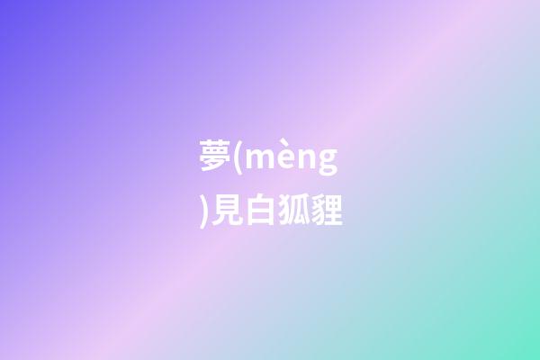 夢(mèng)見白狐貍