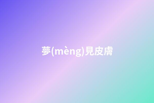 夢(mèng)見皮膚