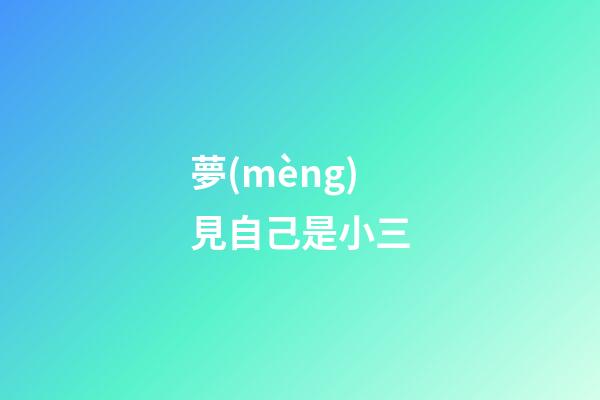 夢(mèng)見自己是小三