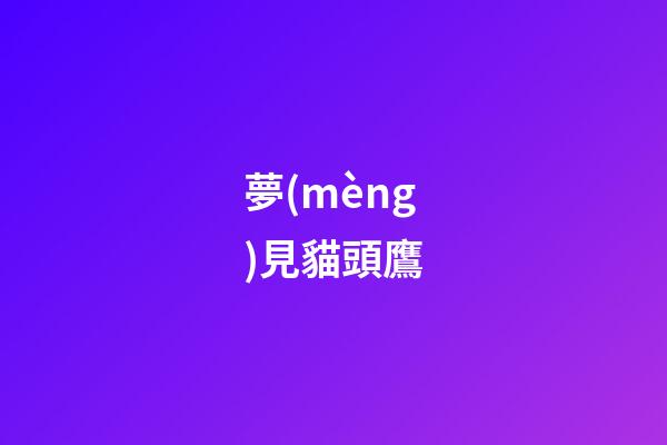 夢(mèng)見貓頭鷹