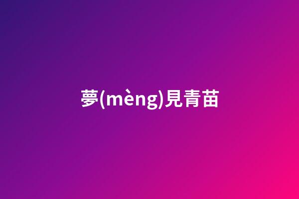 夢(mèng)見青苗