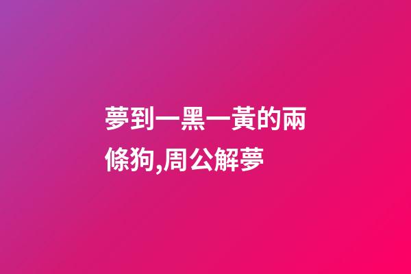 夢到一黑一黃的兩條狗,周公解夢-第1張-觀點-玄機派