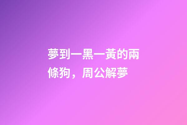 夢到一黑一黃的兩條狗，周公解夢-第1張-觀點-玄機派
