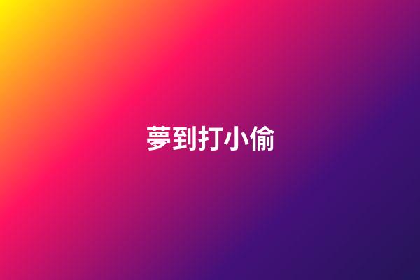 夢到打小偷