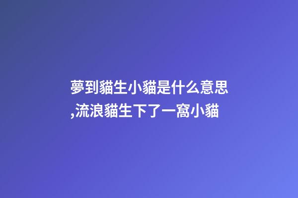 夢到貓生小貓是什么意思,流浪貓生下了一窩小貓-第1張-觀點-玄機派