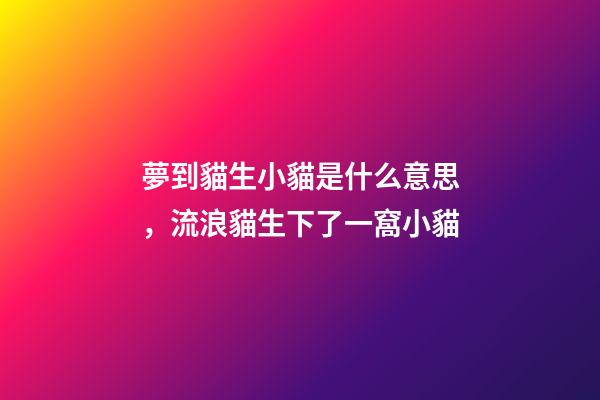 夢到貓生小貓是什么意思，流浪貓生下了一窩小貓-第1張-觀點-玄機派