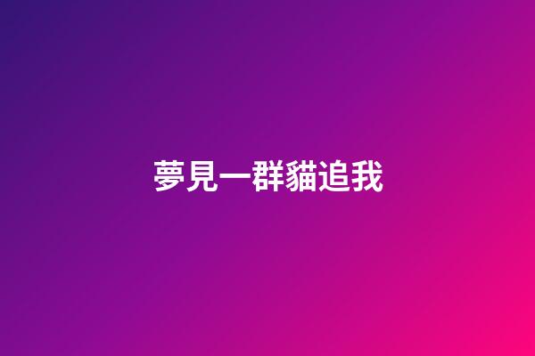 夢見一群貓追我