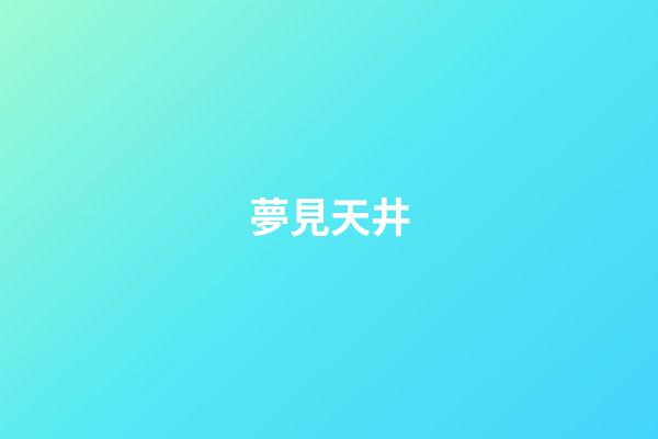 夢見天井