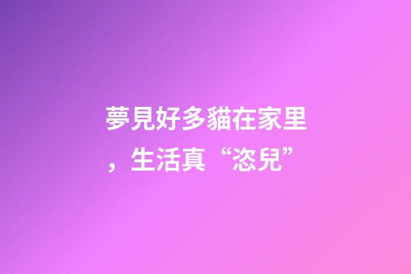 夢見好多貓在家里，生活真“恣兒”-第1張-觀點-玄機派