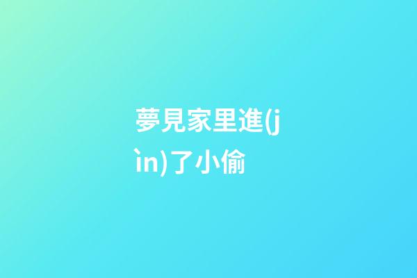 夢見家里進(jìn)了小偷