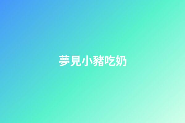 夢見小豬吃奶