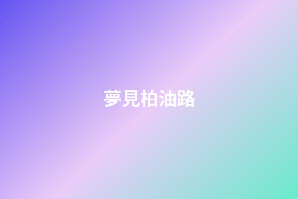 夢見柏油路