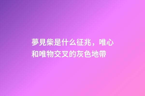 夢見柴是什么征兆，唯心和唯物交叉的灰色地帶-第1張-觀點-玄機派