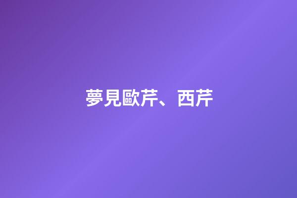 夢見歐芹、西芹