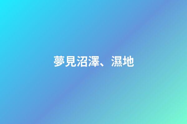 夢見沼澤、濕地