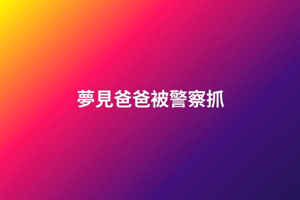夢見爸爸被警察抓