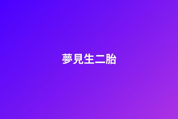 夢見生二胎