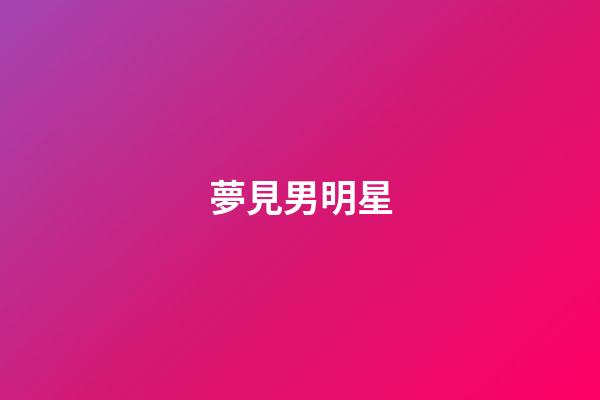 夢見男明星