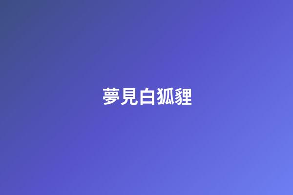 夢見白狐貍