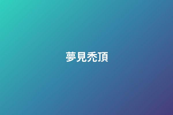 夢見禿頂