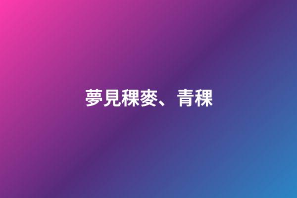 夢見稞麥、青稞