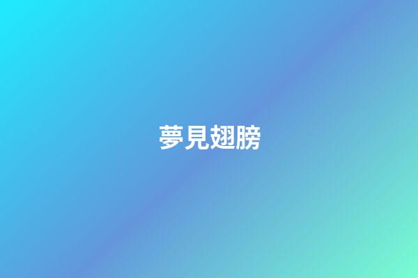 夢見翅膀