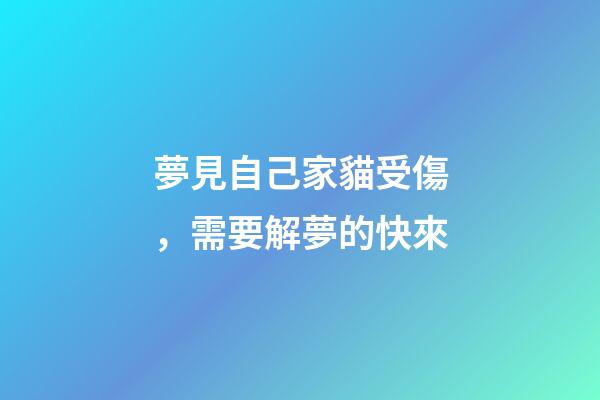 夢見自己家貓受傷，需要解夢的快來-第1張-觀點-玄機派