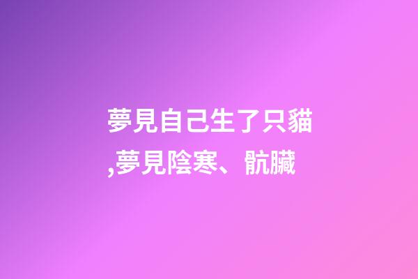 夢見自己生了只貓,夢見陰寒、骯臟-第1張-觀點-玄機派