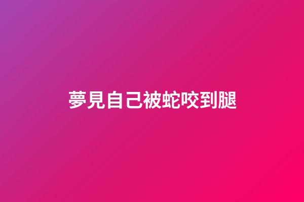 夢見自己被蛇咬到腿
