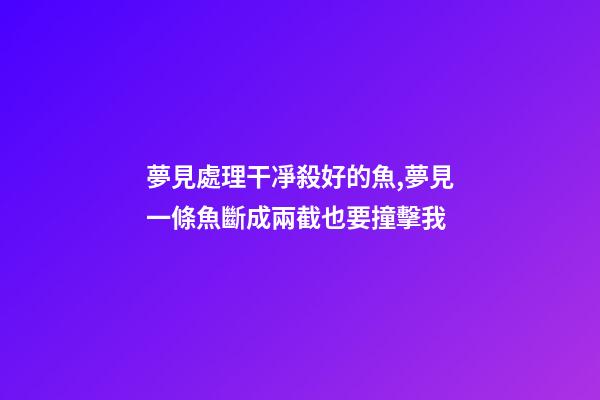 夢見處理干凈殺好的魚,夢見一條魚斷成兩截也要撞擊我-第1張-觀點-玄機派