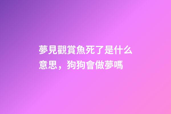 夢見觀賞魚死了是什么意思，狗狗會做夢嗎