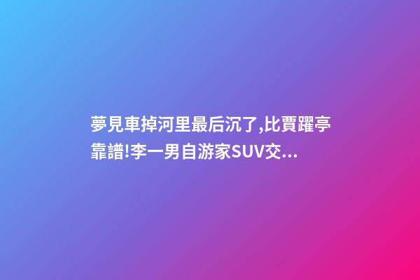 夢見車掉河里最后沉了,比賈躍亭靠譜!李一男自游家SUV交付失敗退款+補償-第1張-觀點-玄機派