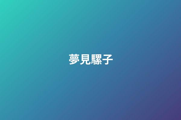 夢見騾子