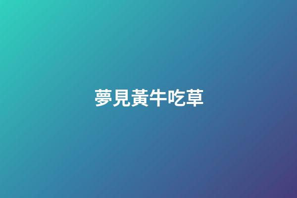 夢見黃牛吃草