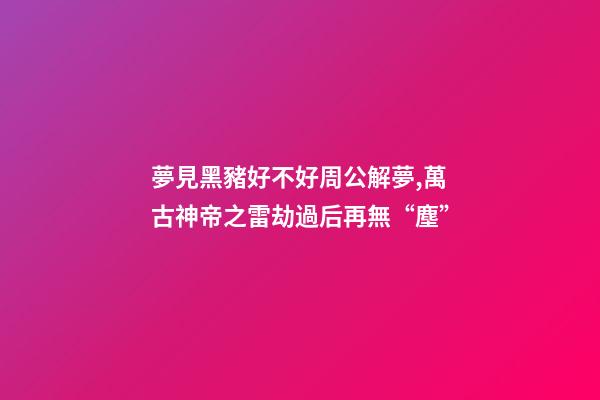 夢見黑豬好不好周公解夢,萬古神帝之雷劫過后再無“塵”-第1張-觀點-玄機派