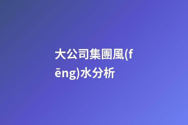 大公司集團風(fēng)水分析