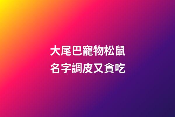 大尾巴寵物松鼠名字調皮又貪吃