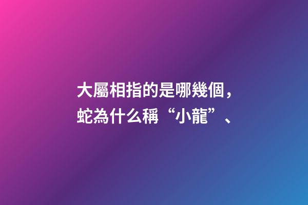 大屬相指的是哪幾個，蛇為什么稱“小龍”、