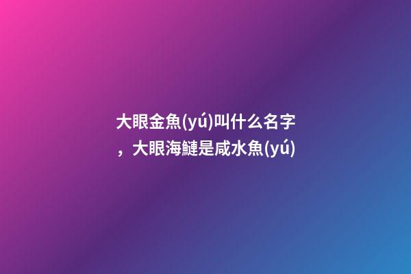 大眼金魚(yú)叫什么名字，大眼海鰱是咸水魚(yú)-第1張-觀點(diǎn)-玄機(jī)派