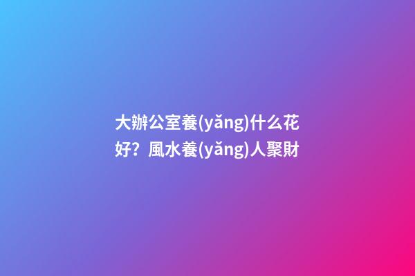 大辦公室養(yǎng)什么花好？風水養(yǎng)人聚財