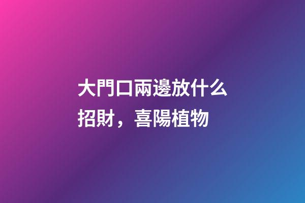 大門口兩邊放什么招財，喜陽植物