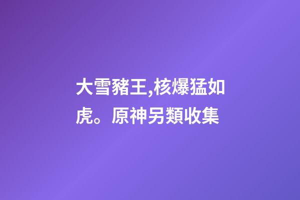 大雪豬王,核爆猛如虎。原神另類收集-第1張-觀點-玄機派