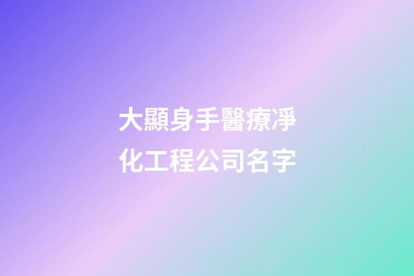 大顯身手醫療凈化工程公司名字-第1張-公司起名-玄機派
