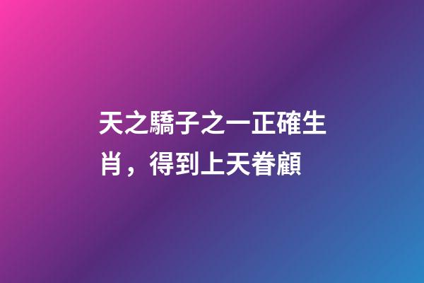 天之驕子之一正確生肖，得到上天眷顧-第1張-觀點-玄機派