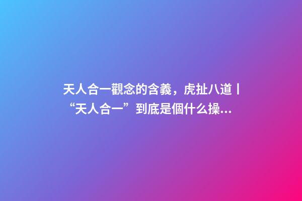 天人合一觀念的含義，虎扯八道丨“天人合一”到底是個什么操作!-第1張-觀點-玄機派