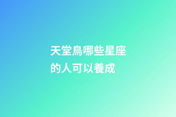 天堂鳥哪些星座的人可以養成-第1張-星座運勢-玄機派