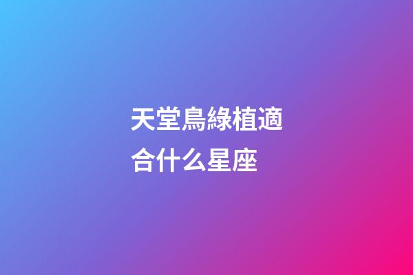 天堂鳥綠植適合什么星座-第1張-星座運勢-玄機派