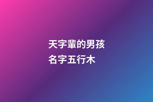 天字輩的男孩名字五行木(孩子取名天字輩的有哪些)-第1張-男孩起名-玄機派
