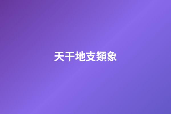 天干地支類象