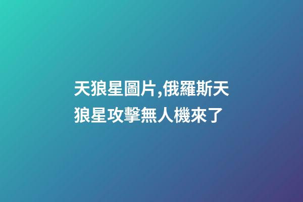天狼星圖片,俄羅斯天狼星攻擊無人機來了-第1張-觀點-玄機派